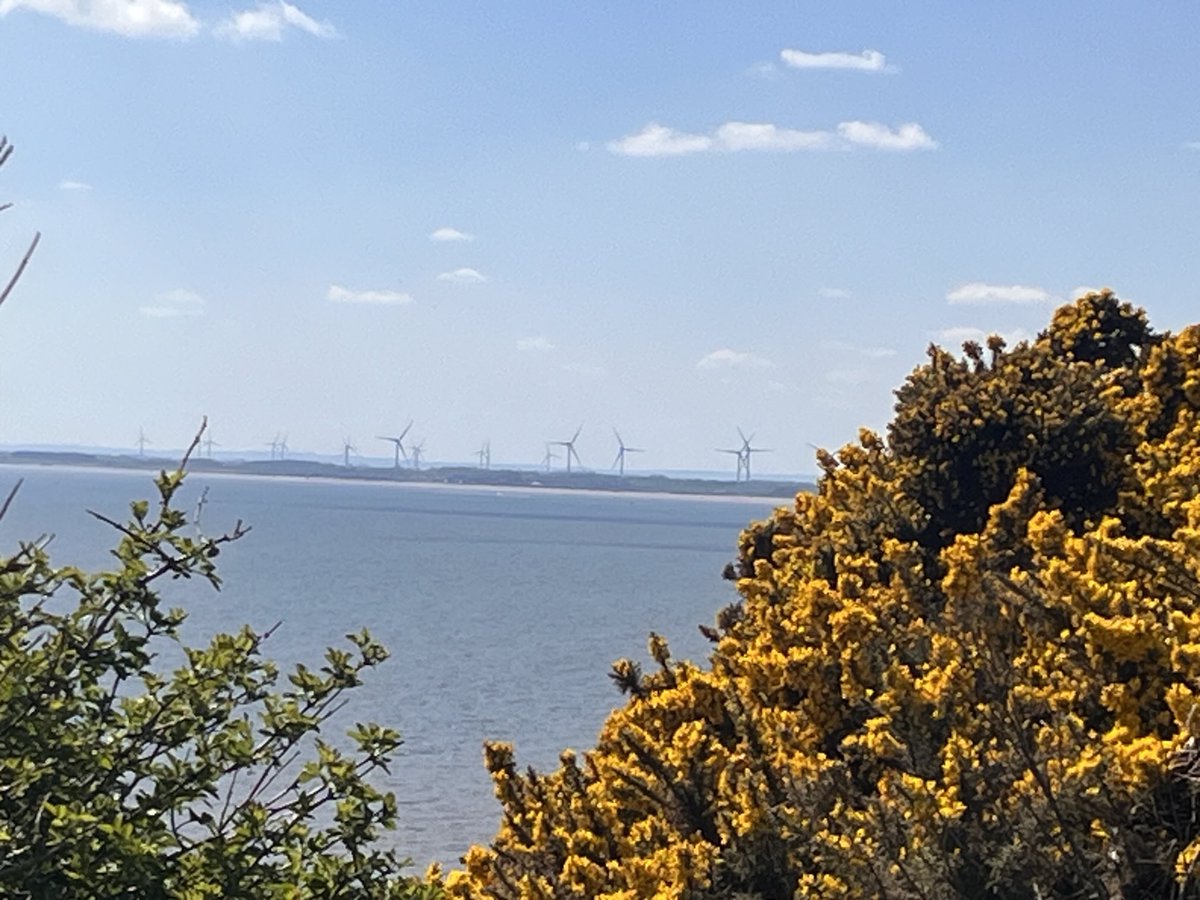 Benbbirder's tweet image. ⁦@kerriegosneyTV⁩ fraisthorpe Danesdyke cliff top walk.