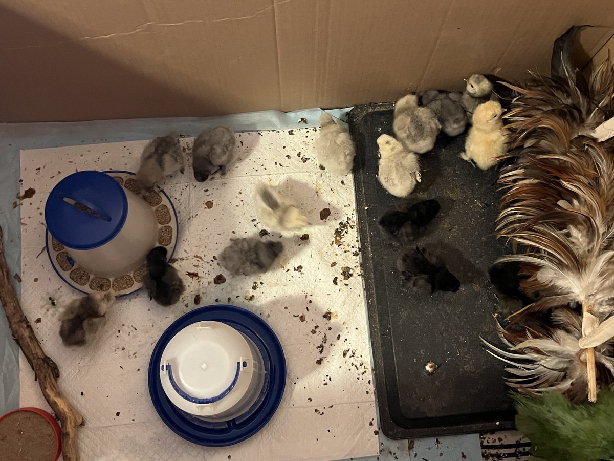 Happy Easter! 🐣 ❤️