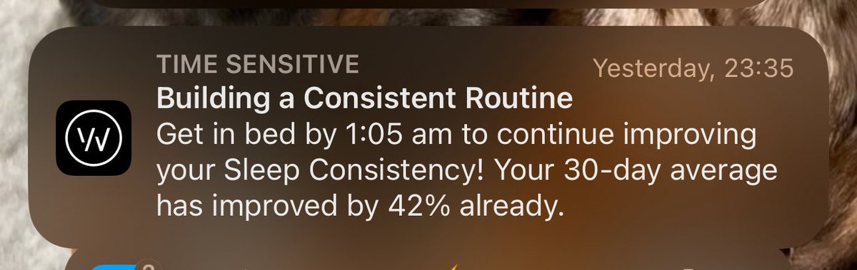 Wonder how I’m doing this ? Follow <a href="/Muhdohealth/">Muhdo</a>  $DNA