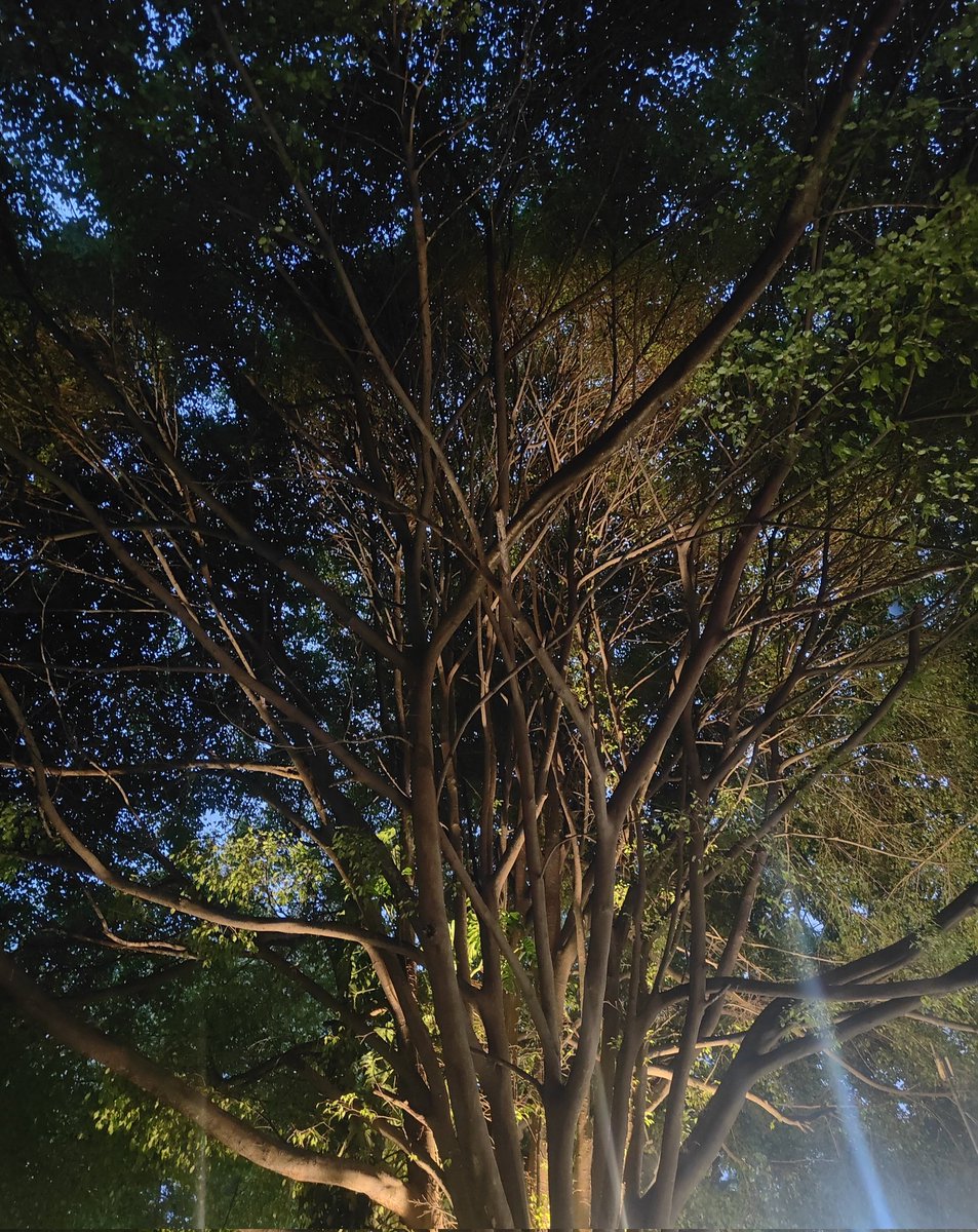 Vedanjanam tweet media