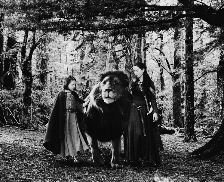"Aslan!  Dear Aslan!" said Lucy, "what is wrong? Can't you tell us?"

"Are you ill, dear Aslan?" asked Susan.

"No," said Aslan. "I am sad and lonely. Lay your hands on my mane so that I can feel you are there and let us walk like that."