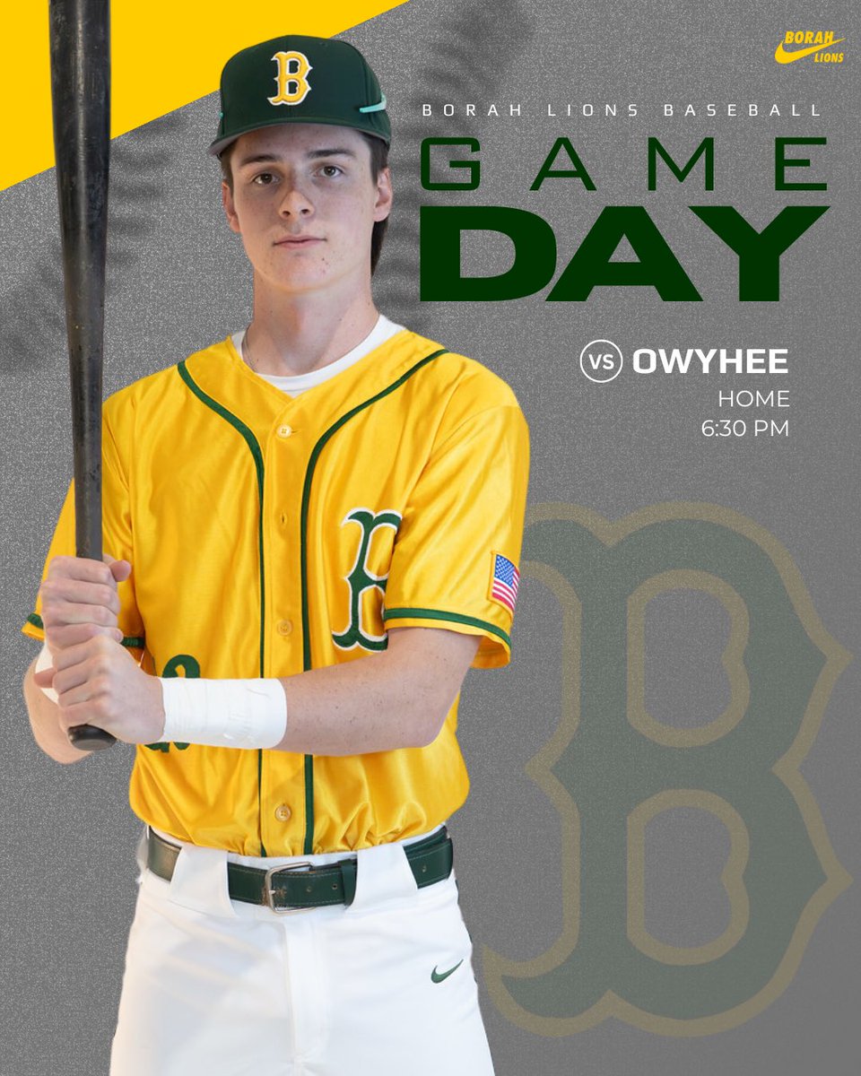 Borah Baseball tweet media