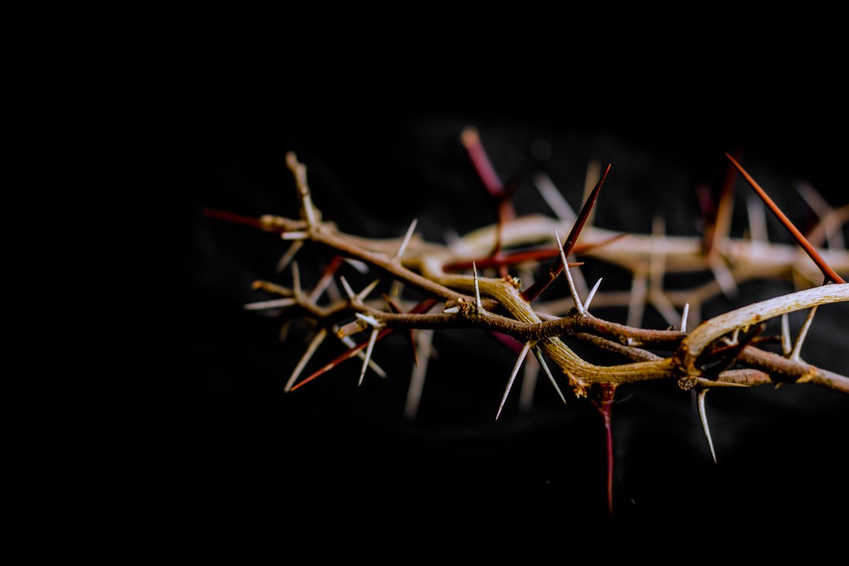 OrangeVFX tweet media