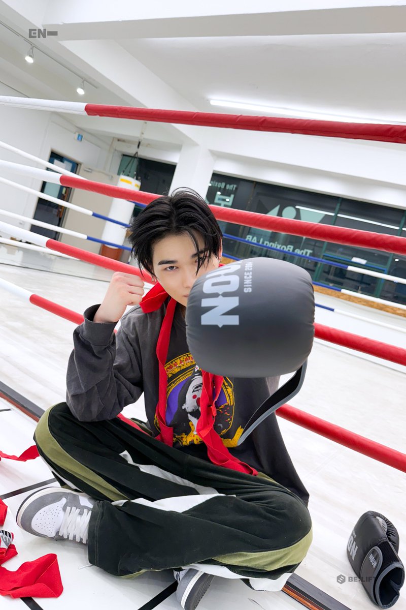 ENHYPEN WEVERSE tweet media