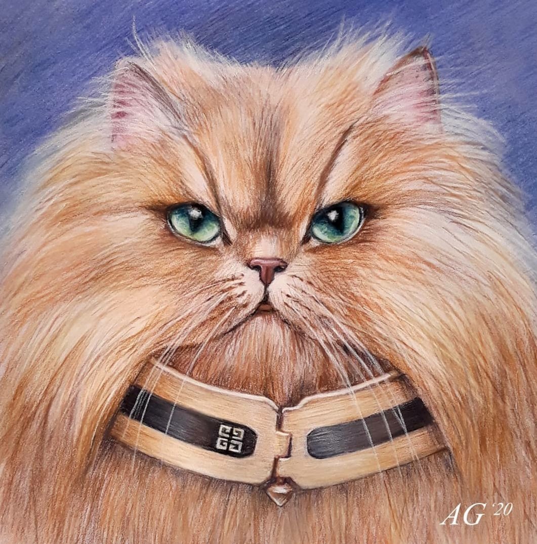 alena12gi's tweet image. Happy Caturday!🐱 
A Persian cat and a Givenchy collar go well together, don&apos;t they?
Pastel drawing 🖍🖼  #Caturday 
#pasteldrawing #nft #ArtistOnTwitter #SaturdayMotivation #CatsofTwitter
