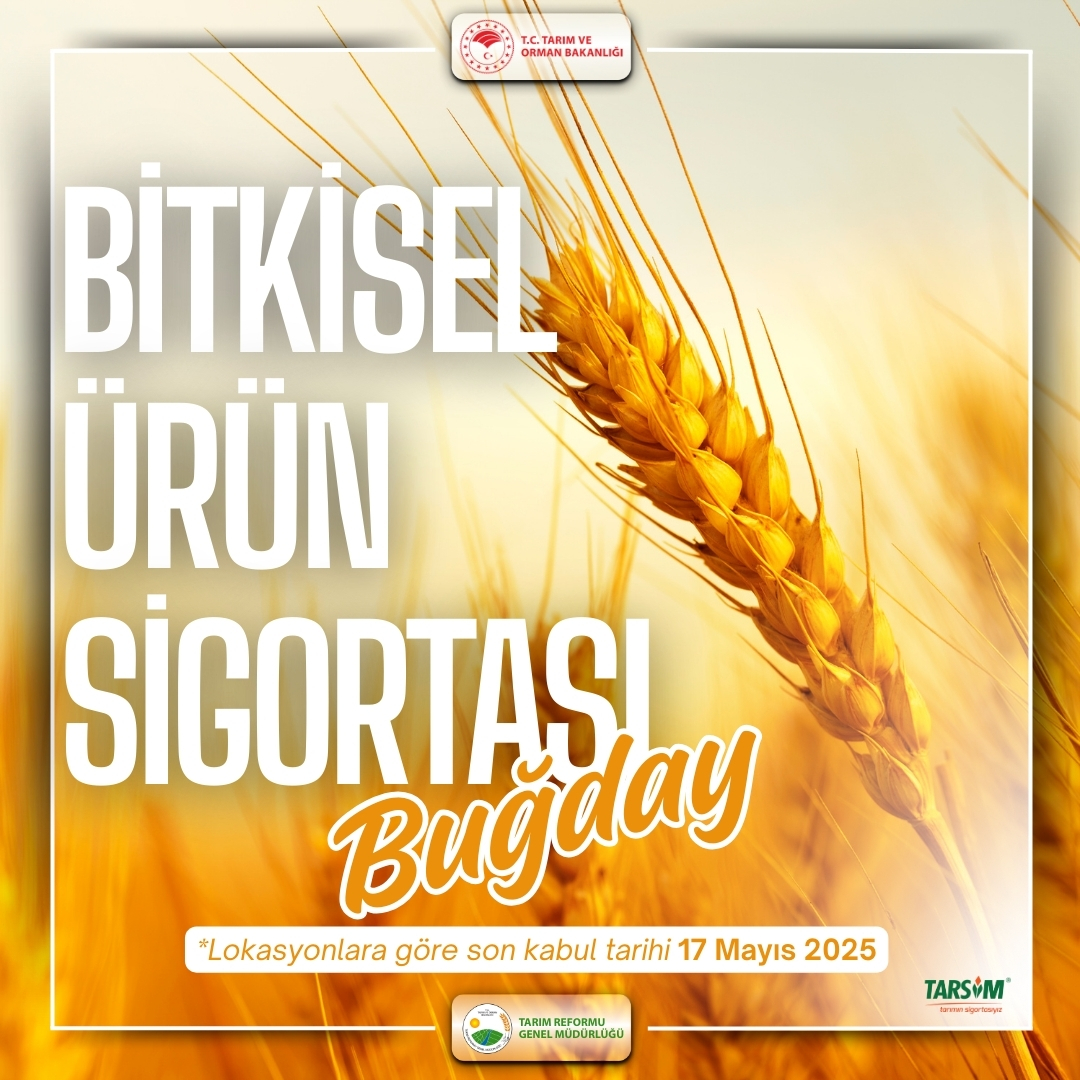Tarım Reformu Genel Müdürlüğü (@trgmresmi) on Twitter photo 🌾Buğday ürününüzü sigortalatmayı unutmayın❗
📍Lokasyonlara göre son kabul tarihi 1️⃣7️⃣ Mayıs 2025 🗓️
<a href="/TCTarim/">T.C. Tarım ve Orman Bakanlığı</a> 🌾Buğday ürününüzü sigortalatmayı unutmayın❗
📍Lokasyonlara göre son kabul tarihi 1️⃣7️⃣ Mayıs 2025 🗓️
<a href="/TCTarim/">T.C. Tarım ve Orman Bakanlığı</a>