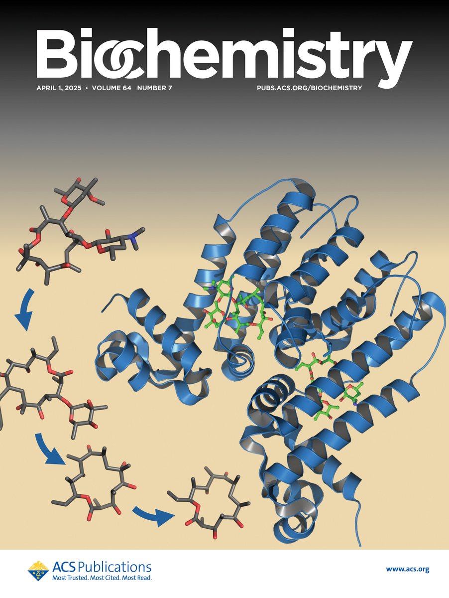 Gavin Williams (@chemsynthbiol) on Twitter photo Excited to share our #polyketide #biosensor artwork featured on the cover of Biochemistry! Thanks to several group members for your help with this! <a href="/ACSPublications/">ACS Publications</a> #MyACSCover Excited to share our #polyketide #biosensor artwork featured on the cover of Biochemistry! Thanks to several group members for your help with this! <a href="/ACSPublications/">ACS Publications</a> #MyACSCover