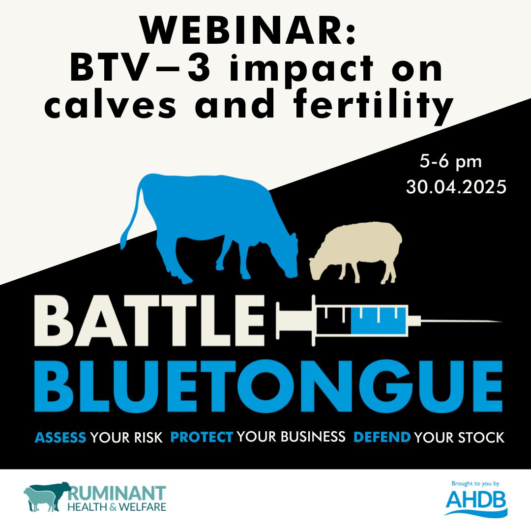AHDB Dairy (@ahdb_dairy) on Twitter photo Join our Battle Bluetongue webinar!π
Speakers will be discussing:
β’ The current BTV-3 situation
β’ Impact of BTV-3 on fertility & dummy calves
β’ Findings from the APHA impact study
β’ Findings from whole-herd bleeds
π
30 April
βοΈ: ow.ly/qMfC50VAV3L
<a href="/ruminanthw/">Ruminant Health & Welfare</a> Join our Battle Bluetongue webinar!π
Speakers will be discussing:
β’ The current BTV-3 situation
β’ Impact of BTV-3 on fertility & dummy calves
β’ Findings from the APHA impact study
β’ Findings from whole-herd bleeds
π
30 April
βοΈ: ow.ly/qMfC50VAV3L
<a href="/ruminanthw/">Ruminant Health & Welfare</a>