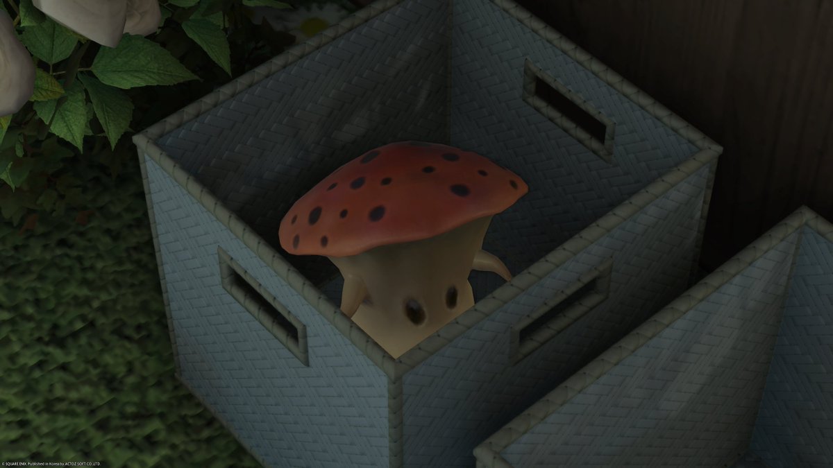 💙여캐전용 아트파티 <백합주택!!>
활기차게 오픈했습니다!
신나는 주말 되세요~!!

- 모그리 지고천 18구 38번지
- 대화, 스샷, 잠수, 제작, 마감 가능!