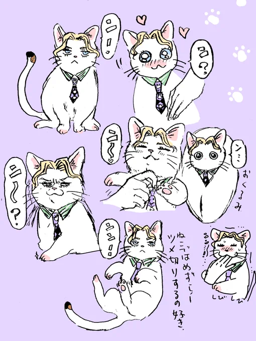 ン。な吉良ねこ。 