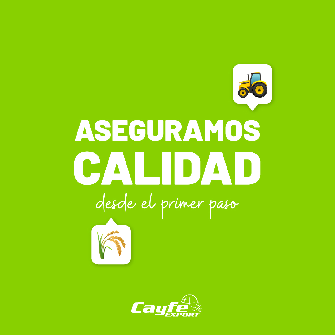 cayfe_export's tweet image. En Cayfe Export formamos parte de todo el proceso que integra la producción y comercialización de nuestros granos😄👏🏽

Desde el trabajo en campo hasta la logística en puertos🚜🛳
¡Del campo al mundo!💚