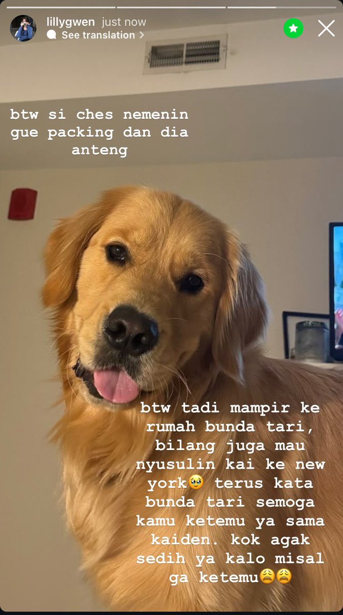 chan | baca bio guyss tweet media