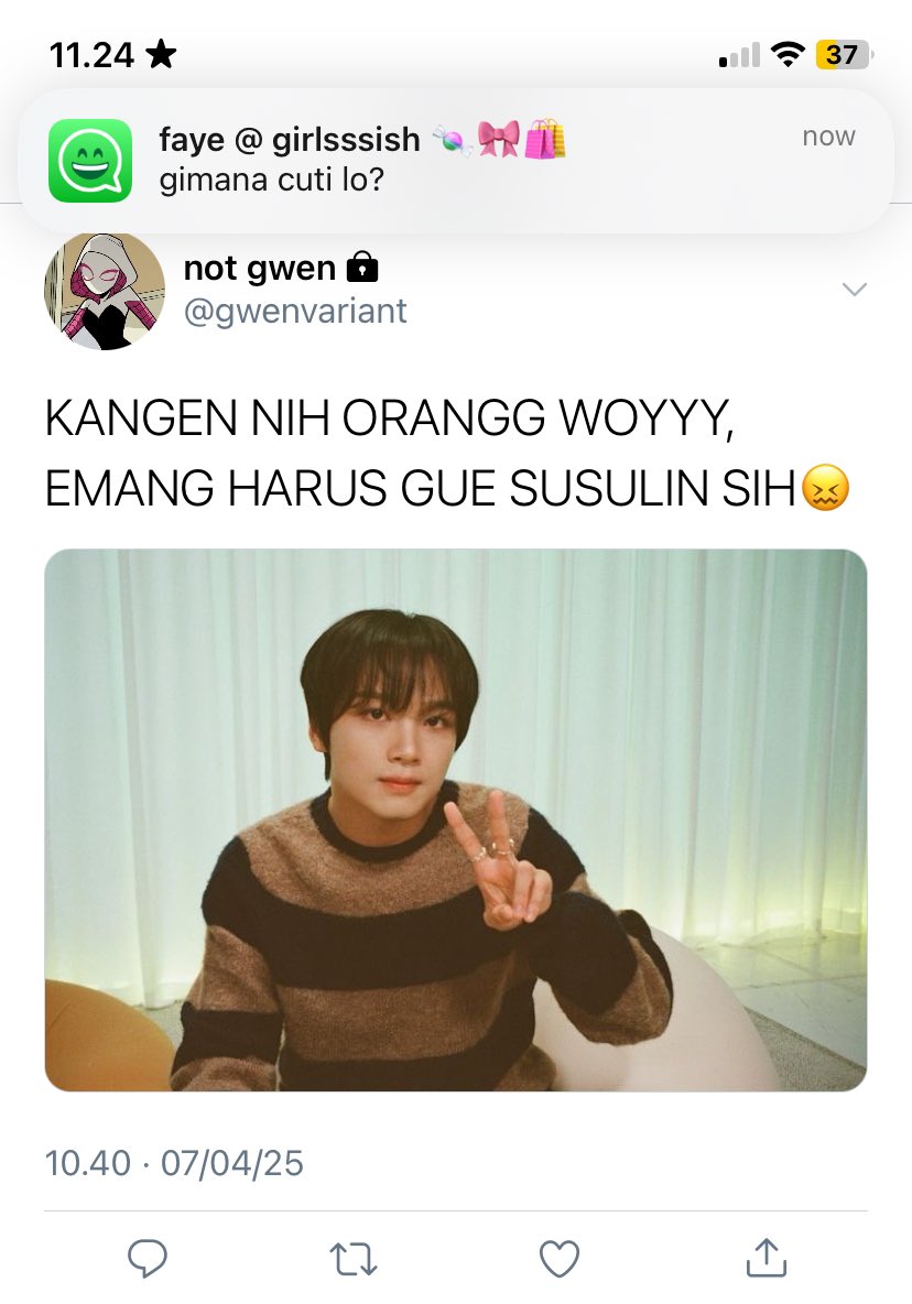 chan | baca bio guyss tweet media