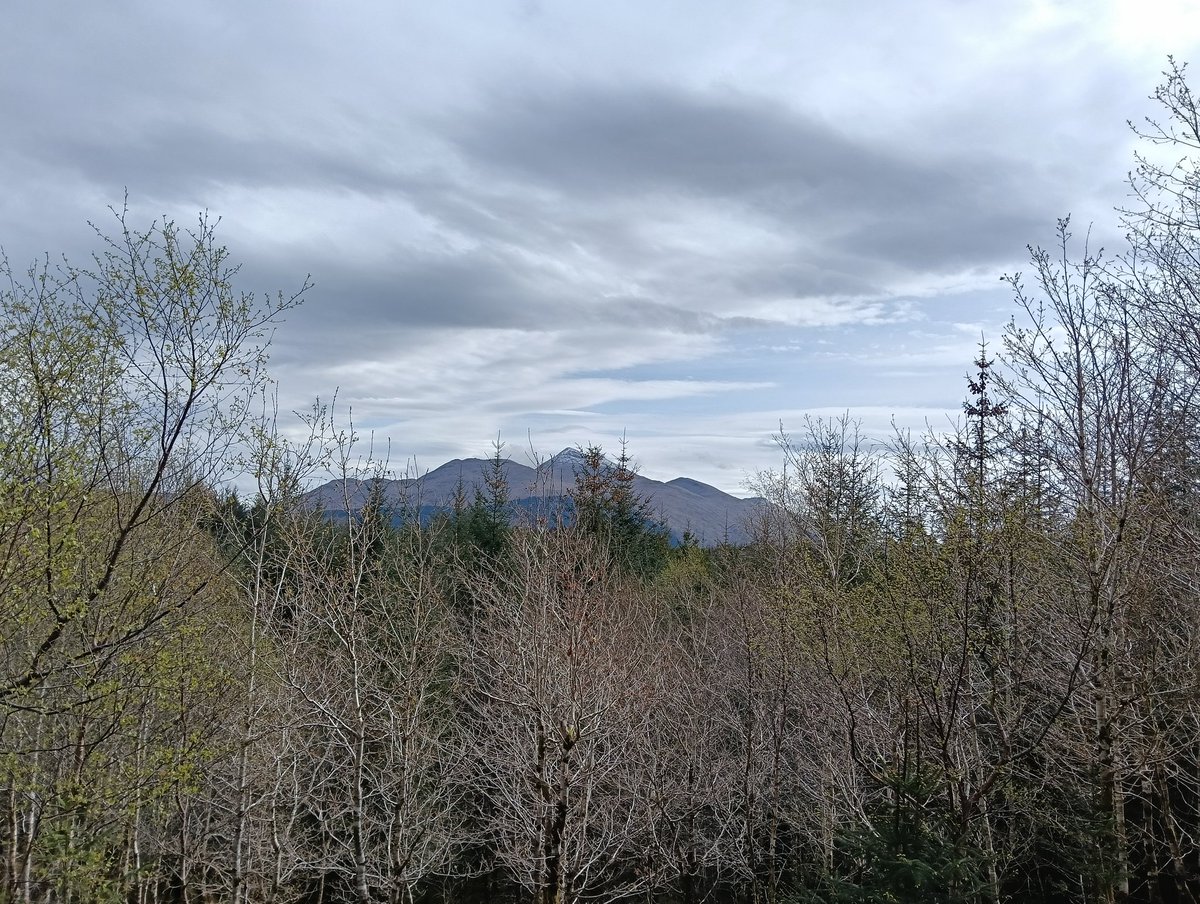 letsgoflingpoo's tweet photo. The path that disappeared into the Highlands today and led to a snow topped mountain/monroe view 

#TreeClub #trees #smallhike https://t.co/fv2CsU6Tx6