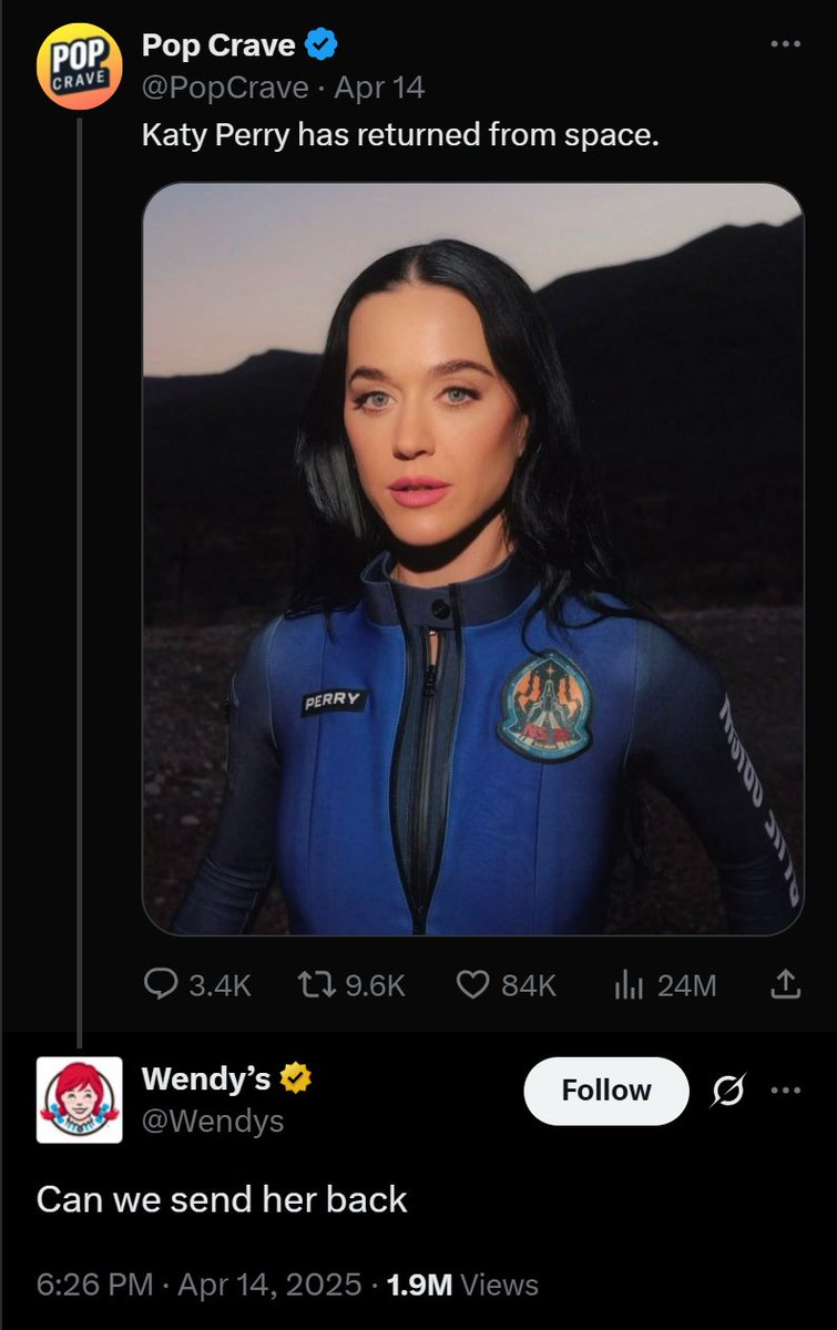 ProfessorF's tweet photo. "Can we send her back" —@Wendys 

Wendy's is AWESOME

Picture: Katy Perry, Cosmic Cosplayer and Astronaut LARPer https://t.co/s8307juCja