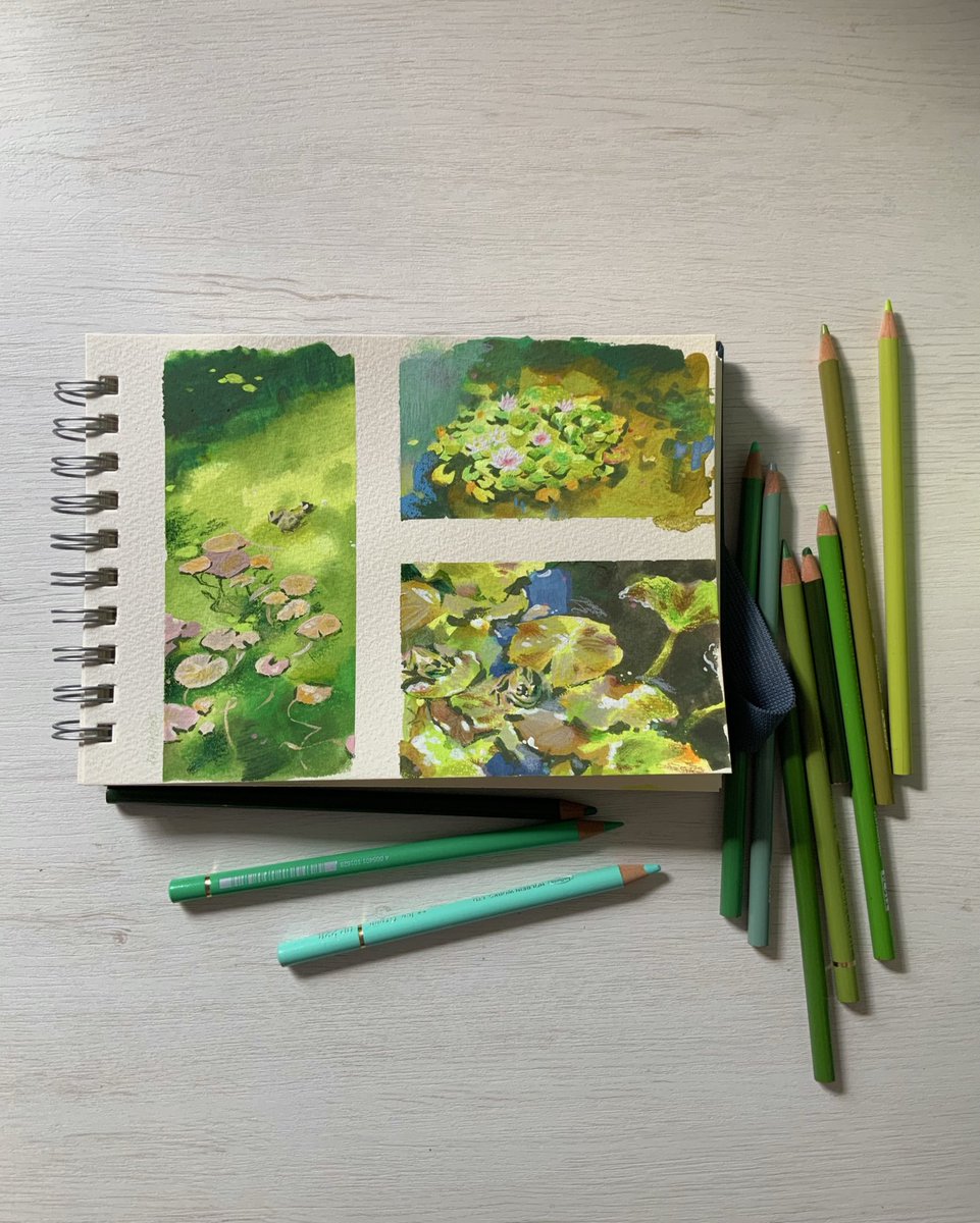 finished! 🪷🍃🐸 #pleinairpril