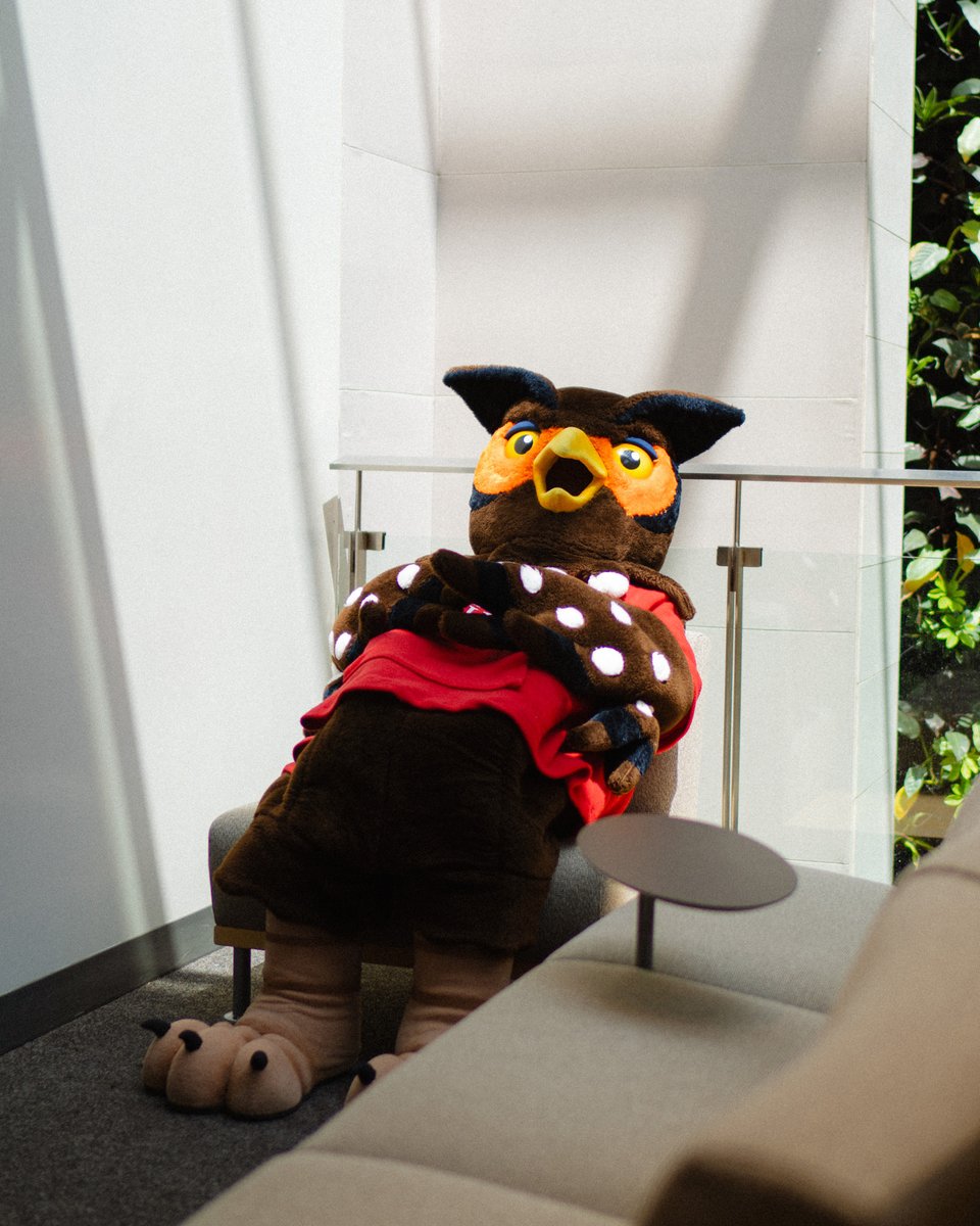 GuelphHumberUni's tweet image. Exams? Done. School year? Done. And it's the long weekend?! Now that's a treat.🙂‍↕️ 

#GuelphHumber #UofGH