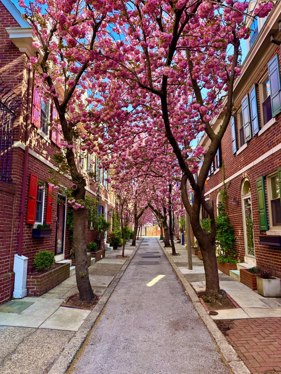 What’s missing from these images that makes this part of Philadelphia so beautiful and wonderful?