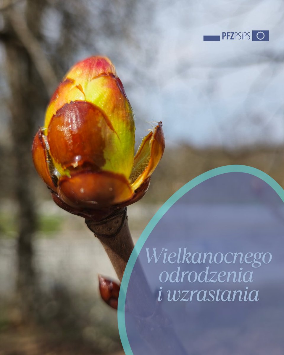 🐣Życzenia Wielkanocne od Federacji 🐇 Z okazji Świąt Wielkanocy składamy Wam najserdeczniejsze życzenia chwil pełnych miłości, radości oraz spokoju w gronie najbliższych. Niech świąteczne dni przyniosą nadzieję, dadzą moc wzrastania i odrodzenia. Wesołych Świąt!