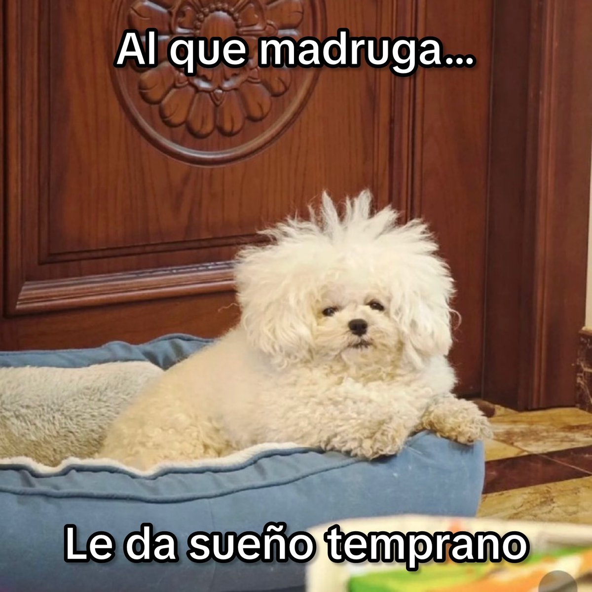Guarromantico_ tweet picture