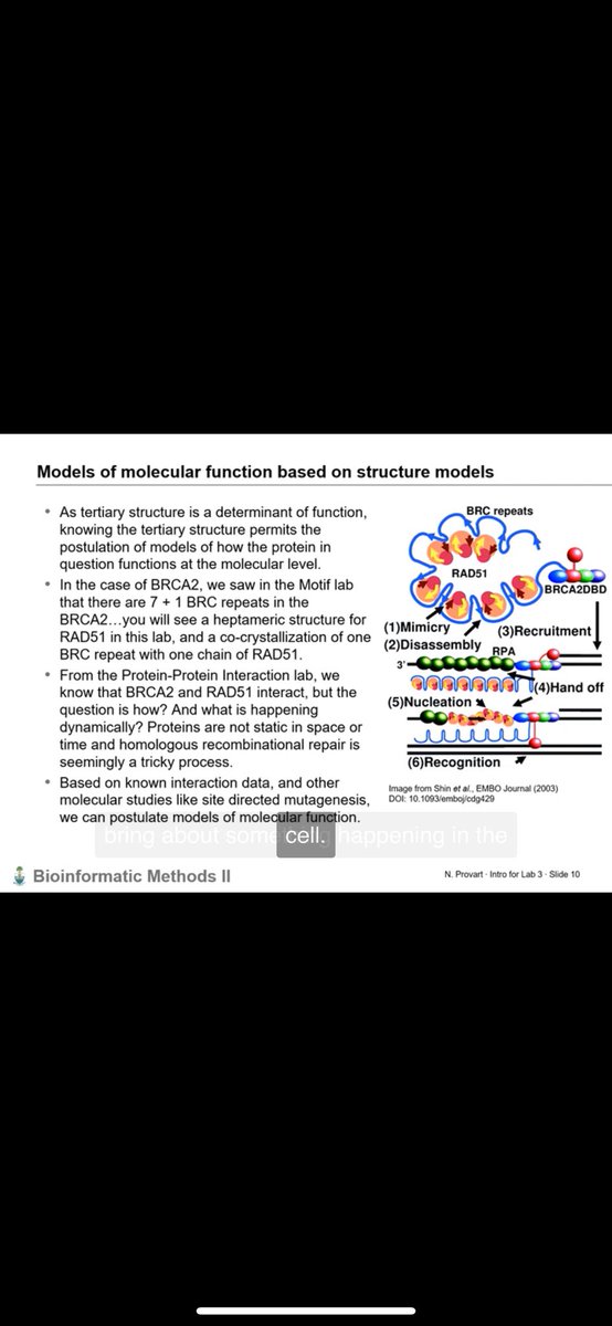 ABULRAHMAN35073's tweet photo. In the Bioinformatics Methods course, I studied protein function modeling (BRCA2–RAD51) and used RNA-Seq to identify alternative splicing events.
#Bioinformatic #RNASeq https://t.co/yXZvOeMuz7