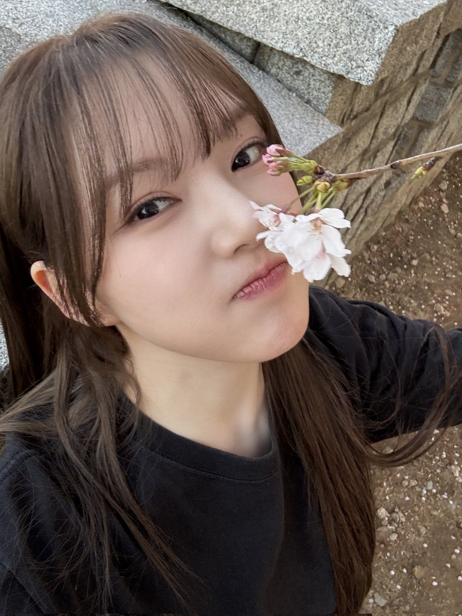 bungaceraka's tweet photo. [#Voriele] Spring is gone by any chance🌸 https://t.co/guKSEwpWBa