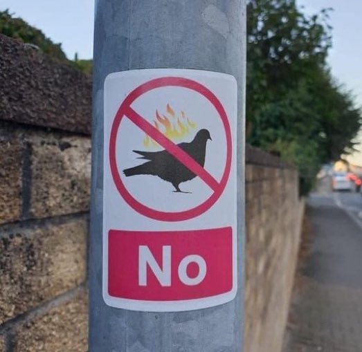 No Context Brits tweet media