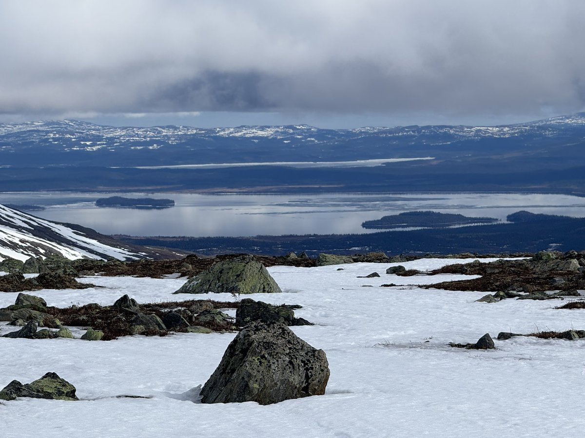 HCHolmberg1's tweet image. Awesome late-April XC skiing in warm ☀️ along the south side of the Norder Tvärån valley up to the Snasahögarna wind shelter (1162 m ASL).
#snasahögarna #springwinter @E_C_S_S