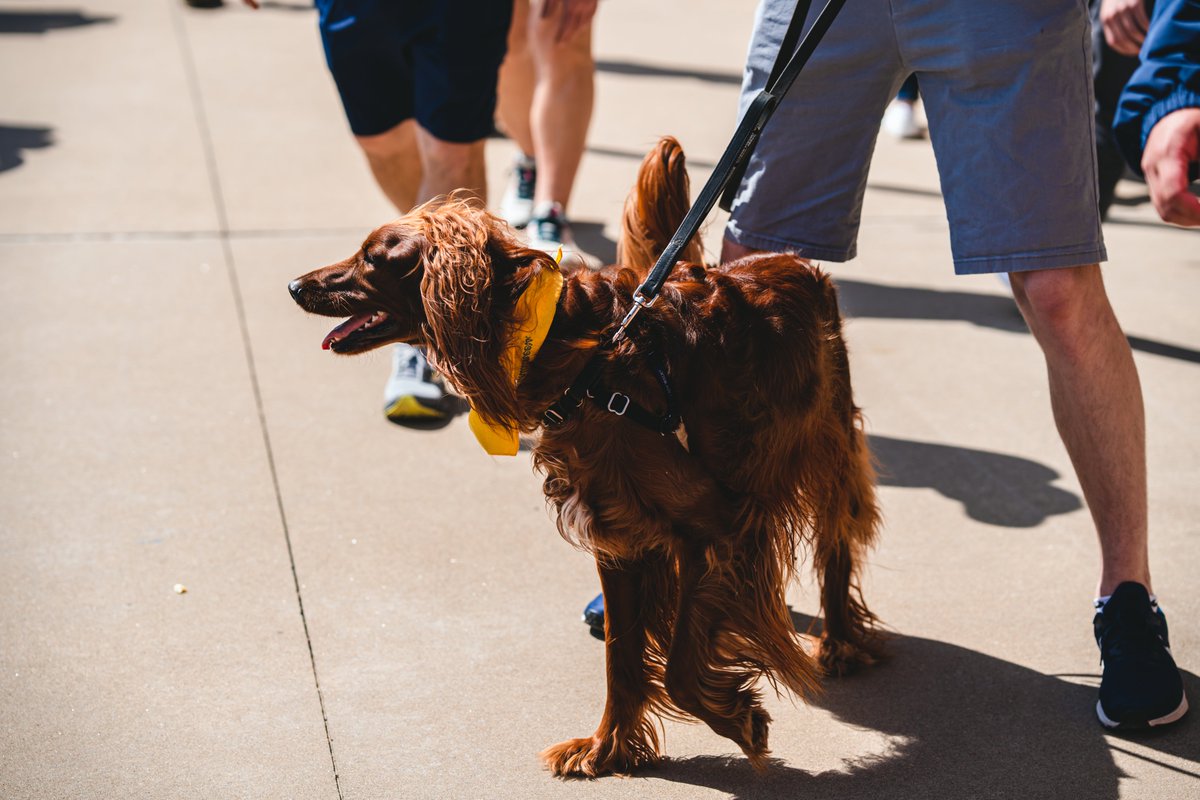 Bark at the Park at Kendrick Family Ballpark 🐶

Join us as we wrap up the series vs Cincinnati

🚪Gates open at 1:00pm
🕑 First pitch at 2:00pm
📺 ESPN+