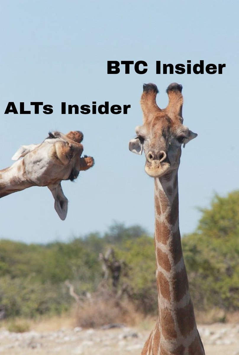 BTC INSIDER tweet media