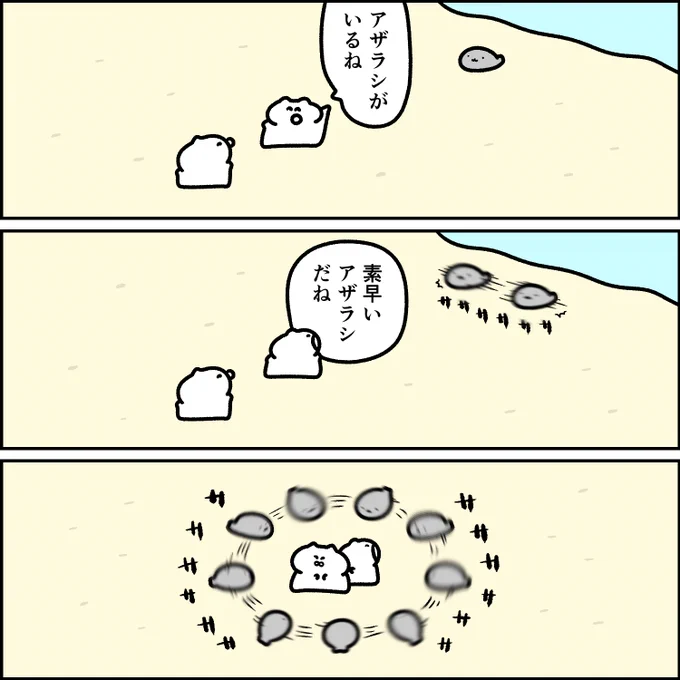 素早いアザラシ 