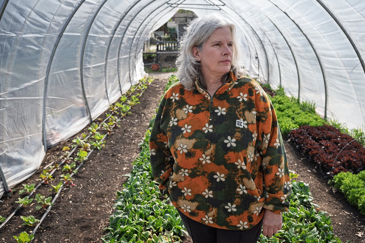 Springfield Community Gardens is planning on a loss of $3.5 million over the next three years due to federal cuts, impacting its ability to support small, local farmers.

Learn more: sgfcitizen.org/government/soc…
