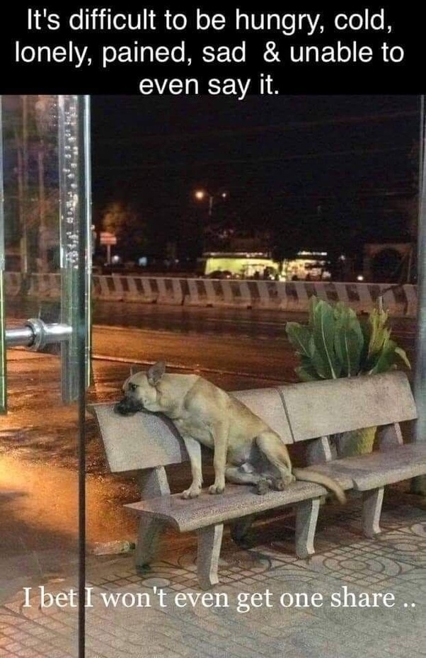 The Four Hearts (@t4hrts) on Twitter photo 