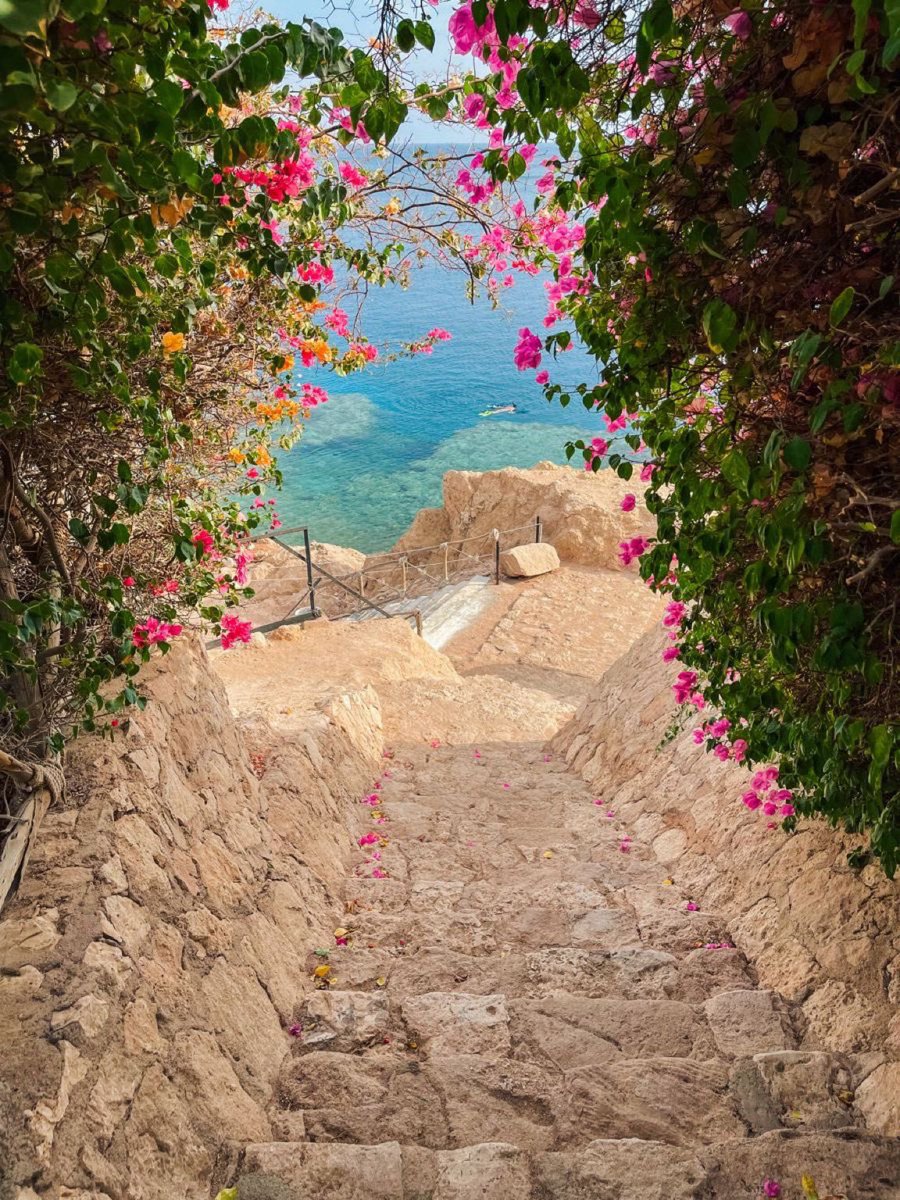 1Nature_Addict's tweet photo. Have a blessed Good Friday 🙏🏻✝️ https://t.co/PyEEnyUkWl