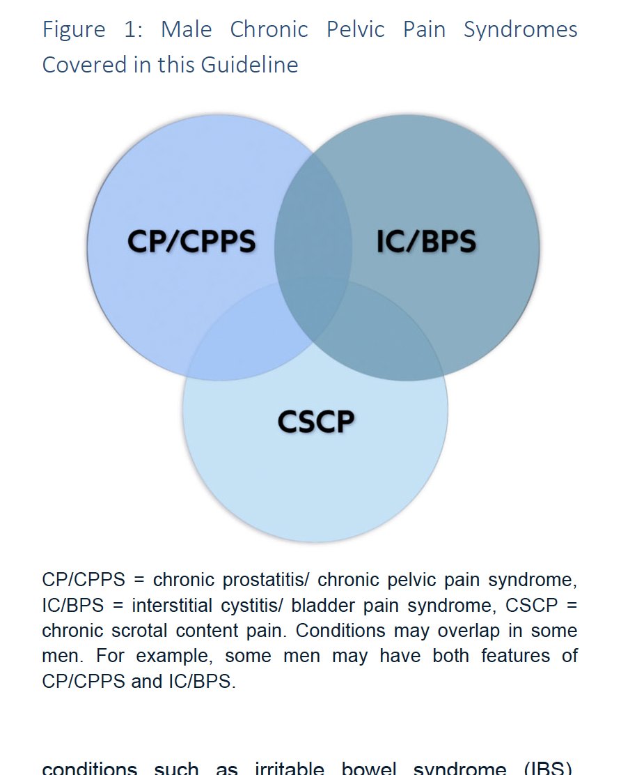 Divya Lagisetti (@divyalagisetti) on Twitter photo 📢 The new <a href="/AmerUrological/">Amer. Urol. Assn.</a> Male Chronic Pelvic Pain guideline is live!
Honored to have contributed some illustrations/diagrams for this one🎨
Check it out: auanet.org/guidelines-and… 📢 The new <a href="/AmerUrological/">Amer. Urol. Assn.</a> Male Chronic Pelvic Pain guideline is live!
Honored to have contributed some illustrations/diagrams for this one🎨
Check it out: auanet.org/guidelines-and…