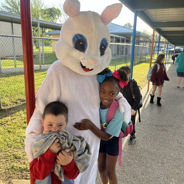 KerrElementary's tweet photo. Hoppy Easter from all of us at Kerr! Wishing our Kerr Kat families a day filled with joy, love, and lots of sweet treats. We’re so lucky to have such an amazing community—have an egg-cellent holiday! #bossierschools #kerrkats https://t.co/47iYbJnKRk