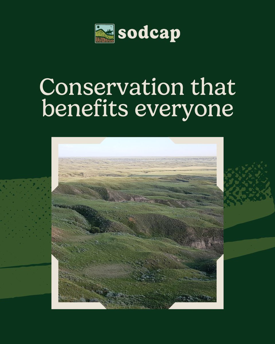 SODCAP Inc. works collaboratively to make habitat management for species at risk a priority that is also economically sustainable. Biodiversity supports Saskatchewan’s economy, and healthy native prairie benefits wildlife, livestock, and people alike.