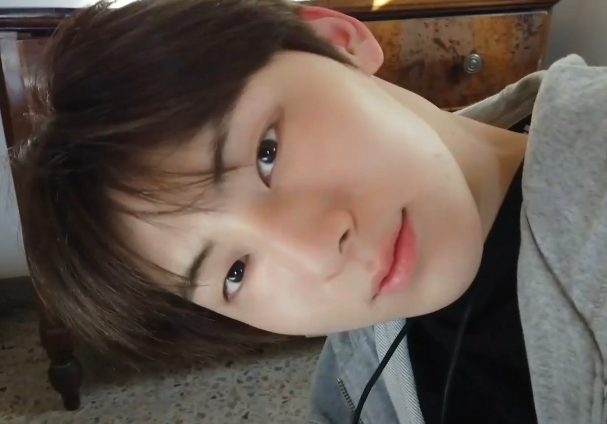 sparkling_0809's tweet photo. 🐱 https://t.co/iLaWEyRwnT