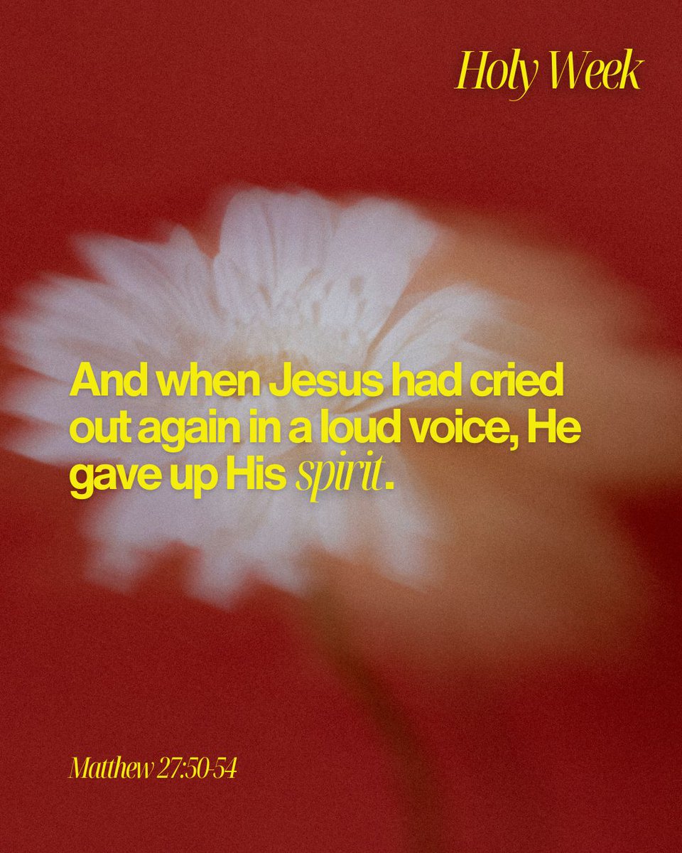 C7Church's tweet photo. Good Friday didn't look so good at the time but we know now just how good it really was!

Thank you Jesus ❤️

Remember and celebrate with us tonight at 7.30PM for an extra special Good Friday service.

#EasterAtC7 https://t.co/QXZtAdmQoB