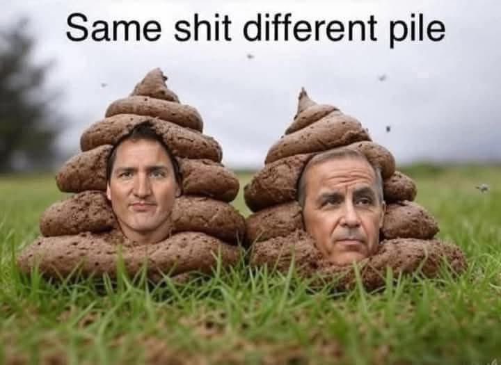 What I don’t understand is why PP’s riding? He’s the opposition! To me it seems like a set up by the Liberals…follow the $$$?