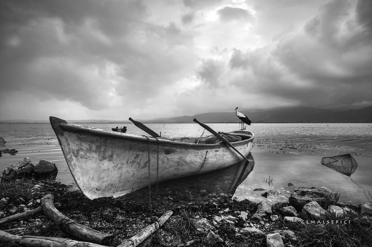cemalsepici's tweet photo. Bakma böyle virane duruşuma..
Yıldızlardan taç yaptım ben başıma

#bw #monochrome #PHOTOS #artphoto #cmlspc #fotokadraj_cemalsepici #cemalsepici #natural #NatureBeautiful #landscape #capture #landscapephotography #naturelovers #NaturePhotograhpy https://t.co/Nz0nhPGgkN