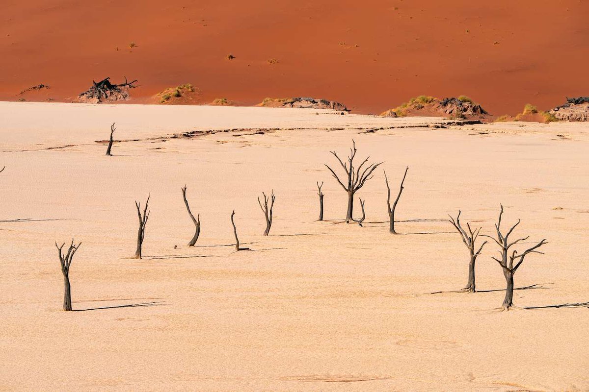 New Post: Namibia Bucket List: 10 Must-Do Experiences bucketlistly.blog/posts/namibia-…