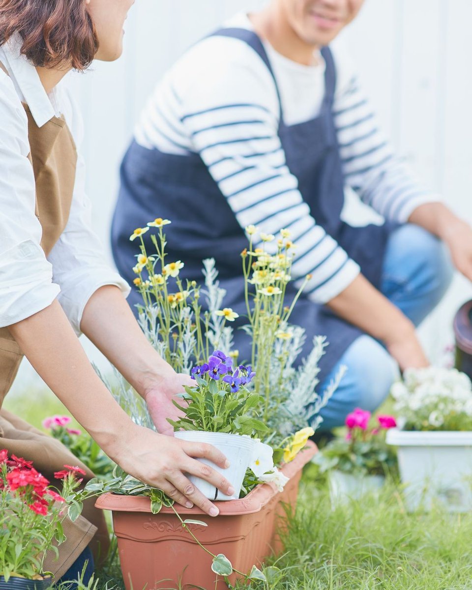 KrasnerLaw's tweet photo. RELATIONSHIP TIP FRIDAY:

Just like your home, your relationship needs a seasonal refresh. 

Reevaluate your goals, shake up old routines, and check in with your partner—emotionally and intentionally.

Ready to do some emotional spring cleaning?

Attorney Advertising

#KrasnerLaw https://t.co/rAQXH9nrfF