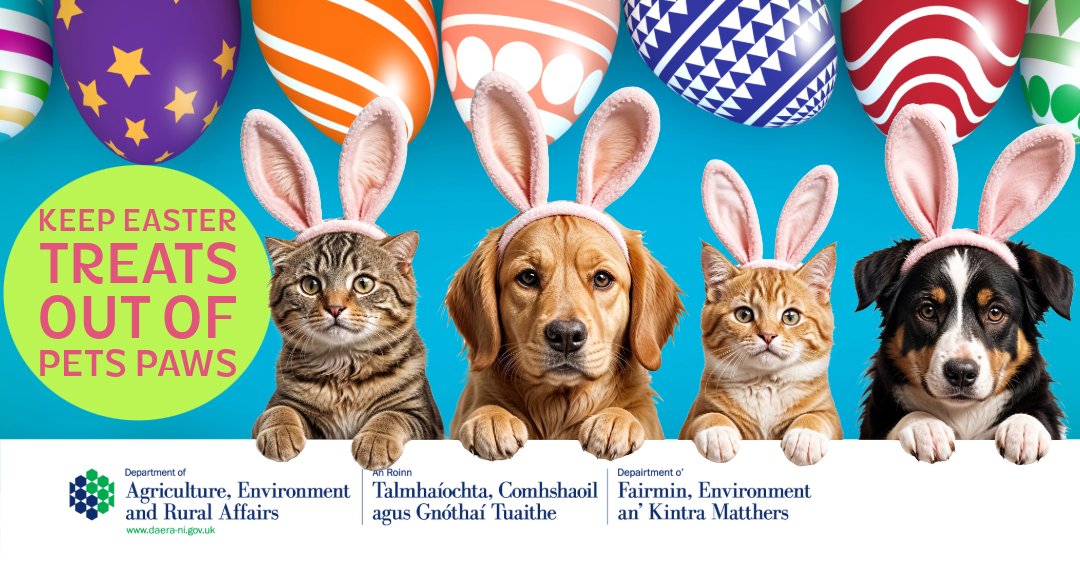 DAERA (@daera_ni) on Twitter photo This #Easter Bank holiday weekend keep sweets & wrappers away from pets:
🧁cake
🍫Chocolate is poisonous to pets
🍬Sweets containing sweetener xylitol(birch sugar) are dangerous for pets
🔗More info: pdsa.org.uk/pet-help-and-a… <a href="/nidirect/">nidirect</a>
<a href="/belfastcc/">Belfast City Council</a>
<a href="/lisburnccc/">LCCC</a>
<a href="/mea_bc/">Mid and East Antrim Borough Council</a>
<a href="/MidUlster_DC/">Mid Ulster Council</a> This #Easter Bank holiday weekend keep sweets & wrappers away from pets:
🧁cake
🍫Chocolate is poisonous to pets
🍬Sweets containing sweetener xylitol(birch sugar) are dangerous for pets
🔗More info: pdsa.org.uk/pet-help-and-a… <a href="/nidirect/">nidirect</a>
<a href="/belfastcc/">Belfast City Council</a>
<a href="/lisburnccc/">LCCC</a>
<a href="/mea_bc/">Mid and East Antrim Borough Council</a>
<a href="/MidUlster_DC/">Mid Ulster Council</a>