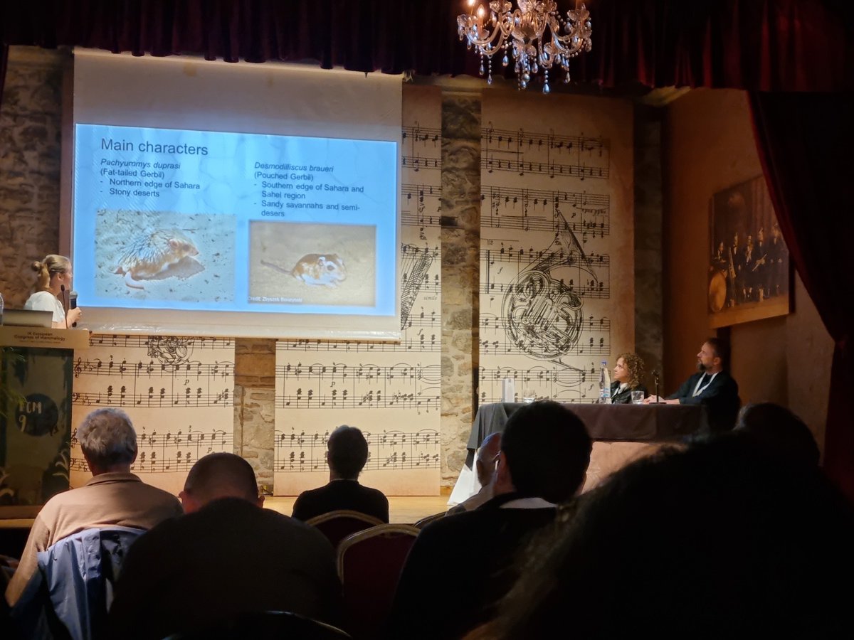 Prof. Dr. Elena Bužan took part in #ECM9 as a scientific committee member for genetics &amp; genomics in mammalogy. The congress in Patras, Greece, covered topics from evolution to zoonoses &amp; mammal conservation. Looking forward to the next one! 🦌🐻
 <a href="/PRO_C0ast/">PRO-Coast</a>  <a href="/BioGenEurope/">Biodiversity Genomics Europe (BGE)</a>