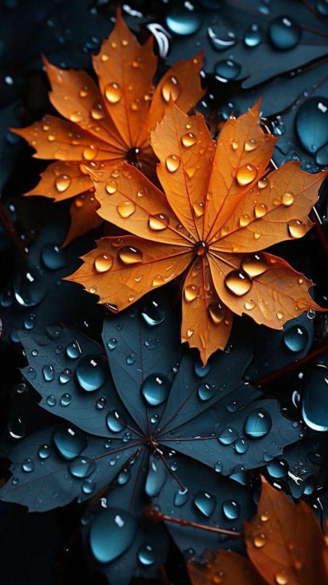 ð ðððððð« (@as_t40) on Twitter photo #GPG ð
<a href="/Ghz97/">âªðððððððð ðŠððððâª</a> <a href="/m81mh/">Muhammad Hilal</a>
<a href="/glmsjd/">ðºððððð
âš</a> <a href="/1lsura/">ðð¡ ððð¡ð¢ð«ð«</a>
<a href="/Aj__55/">Ajnabi monda</a> <a href="/Fat9T/">Arshiaðð¥</a>
<a href="/Sc2017W/">SC2017</a>
<a href="/OdriSeva/">Odri Seva</a>
<a href="/anm_khn/">Anam Kanwal</a>
<a href="/SKN322/">SHAHRYAR KHAN</a>
<a href="/Qen_pro/">ð¬ððððꪫꀪꀚð«ððððâïž</a>
<a href="/Ozlerntr/">Ãzleâïž ðâªïž#Nika -àœŒ ð¯ïž</a>
<a href="/bndy44/">ðïžððððšððð ASILðïž 8</a>
<a href="/bndy66/">Asil khawaja 55</a>
<a href="/IKVEBS/">ðððððð¢ ðŸð ðððð</a>
<a href="/__Libra1/">ððððð ððððð</a>
<a href="/AS1k34/">Abrish khan</a>
<a href="/Hfz672/">Hafeezâ€ð€ð</a>
<a href="/n_oo_r7/">Ù
Ø§Û ÙÙØ±ð«</a>
<a href="/Sd_S10/">Sadam Rajput</a>
<a href="/1Ashi5/">Aisha Hashmi" ð§ââïž,ð§ââïžGnoma âïž "Stand by $SIDE"</a>
<a href="/As_t40/">ð ðððððð«</a>
<a href="/Mir44_/">SáŽoÍ¥keÍ£rÍ« àœŒ ðŠ
</a>
<a href="/4mir_8/">Aamir Hayat Awan</a>
<a href="/_02SD/">SHAHID... ØŽÙØ§ÙÙØ¯</a>
<a href="/ars1a_/">ê§arsiaðïž</a>
<a href="/ik_553/">.â â â â âðãã¹ã«ã³ ðð®ð¬ð€ðð§ð. â â â â â âð</a>
<a href="/Triq25/">‹ððªððð¢ð¢ðð ððð§ððŠâ€ž</a>
<a href="/Trq88/">âïžâžðÎ±ÉŸÎ¹Ï ðÏ
ÉŸÆÎ±È¥Î±à¿</a> <a href="/Hfz48/">HáŽÒáŽáŽáŽ¢áŽÊ AáŽÊáŽÊ</a>
<a href="/Ghz79/">â ðŸððð«ðððð ððððð â</a> <a href="/Lub_03/">â¿ððððð ðšððâ¿</a>
<a href="/Ghz21/">âðð¡ðð³ðð¥ð ðððððâ</a> <a href="/m80mh/">Muhammad Hilal</a> #GPG ð
<a href="/Ghz97/">âªðððððððð ðŠððððâª</a> <a href="/m81mh/">Muhammad Hilal</a>
<a href="/glmsjd/">ðºððððð
âš</a> <a href="/1lsura/">ðð¡ ððð¡ð¢ð«ð«</a>
<a href="/Aj__55/">Ajnabi monda</a> <a href="/Fat9T/">Arshiaðð¥</a>
<a href="/Sc2017W/">SC2017</a>
<a href="/OdriSeva/">Odri Seva</a>
<a href="/anm_khn/">Anam Kanwal</a>
<a href="/SKN322/">SHAHRYAR KHAN</a>
<a href="/Qen_pro/">ð¬ððððꪫꀪꀚð«ððððâïž</a>
<a href="/Ozlerntr/">Ãzleâïž ðâªïž#Nika -àœŒ ð¯ïž</a>
<a href="/bndy44/">ðïžððððšððð ASILðïž 8</a>
<a href="/bndy66/">Asil khawaja 55</a>
<a href="/IKVEBS/">ðððððð¢ ðŸð ðððð</a>
<a href="/__Libra1/">ððððð ððððð</a>
<a href="/AS1k34/">Abrish khan</a>
<a href="/Hfz672/">Hafeezâ€ð€ð</a>
<a href="/n_oo_r7/">Ù
Ø§Û ÙÙØ±ð«</a>
<a href="/Sd_S10/">Sadam Rajput</a>
<a href="/1Ashi5/">Aisha Hashmi" ð§ââïž,ð§ââïžGnoma âïž "Stand by $SIDE"</a>
<a href="/As_t40/">ð ðððððð«</a>
<a href="/Mir44_/">SáŽoÍ¥keÍ£rÍ« àœŒ ðŠ
</a>
<a href="/4mir_8/">Aamir Hayat Awan</a>
<a href="/_02SD/">SHAHID... ØŽÙØ§ÙÙØ¯</a>
<a href="/ars1a_/">ê§arsiaðïž</a>
<a href="/ik_553/">.â â â â âðãã¹ã«ã³ ðð®ð¬ð€ðð§ð. â â â â â âð</a>
<a href="/Triq25/">‹ððªððð¢ð¢ðð ððð§ððŠâ€ž</a>
<a href="/Trq88/">âïžâžðÎ±ÉŸÎ¹Ï ðÏ
ÉŸÆÎ±È¥Î±à¿</a> <a href="/Hfz48/">HáŽÒáŽáŽáŽ¢áŽÊ AáŽÊáŽÊ</a>
<a href="/Ghz79/">â ðŸððð«ðððð ððððð â</a> <a href="/Lub_03/">â¿ððððð ðšððâ¿</a>
<a href="/Ghz21/">âðð¡ðð³ðð¥ð ðððððâ</a> <a href="/m80mh/">Muhammad Hilal</a>