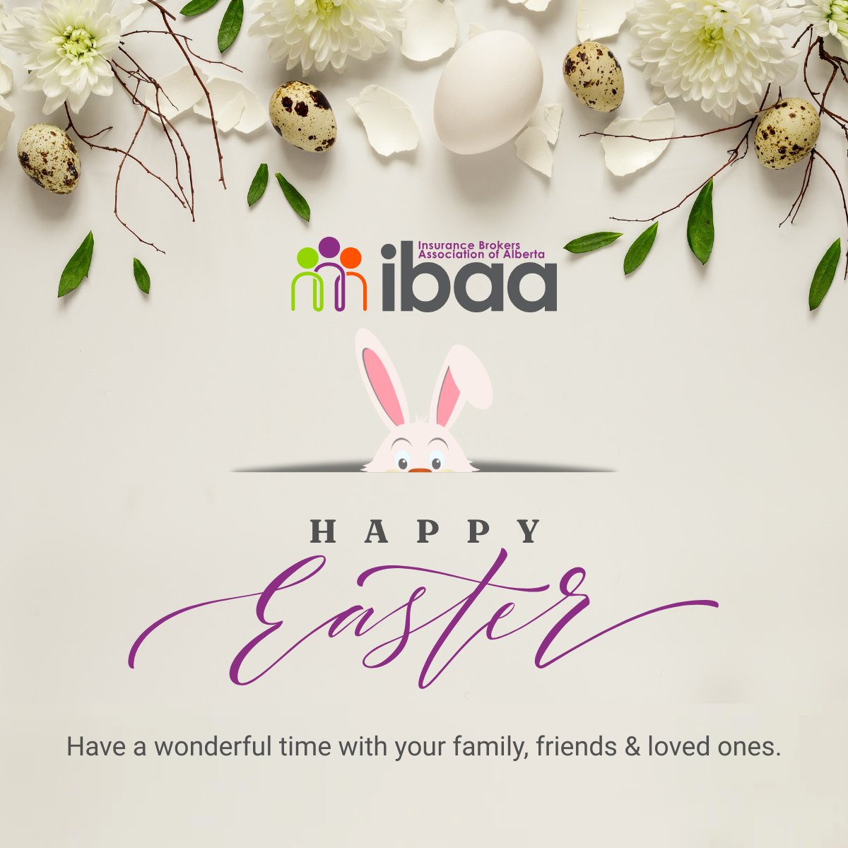 Insurance Brokers Association of Alberta tweet media