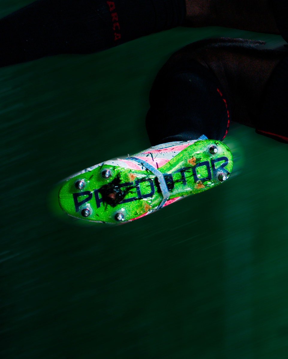 digitalviews tweet media