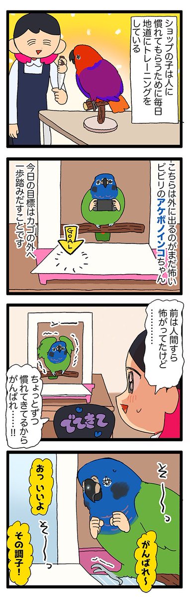 鳥カゴから出るトレーニング、失敗かも━━

2065 #えるポピの絵日記かくところ 