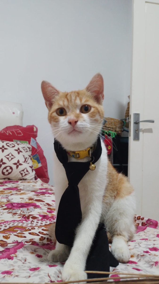 pinepchie's tweet image. moyi gemuc 🤏🏻🤦🏻‍♀️